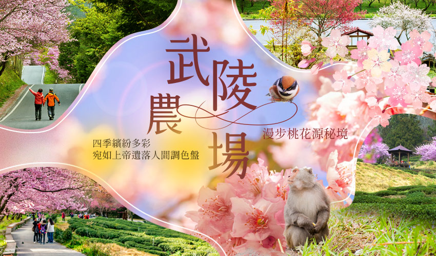 漫步桃花源秘境~武陵農場